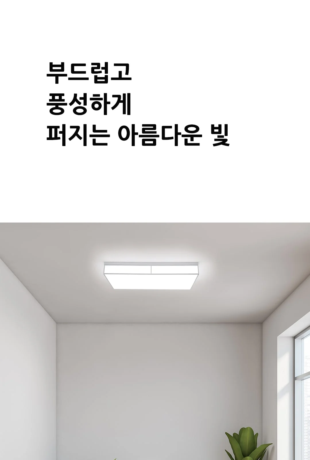 엠바솔 거실 2등 제조사 상세 정보