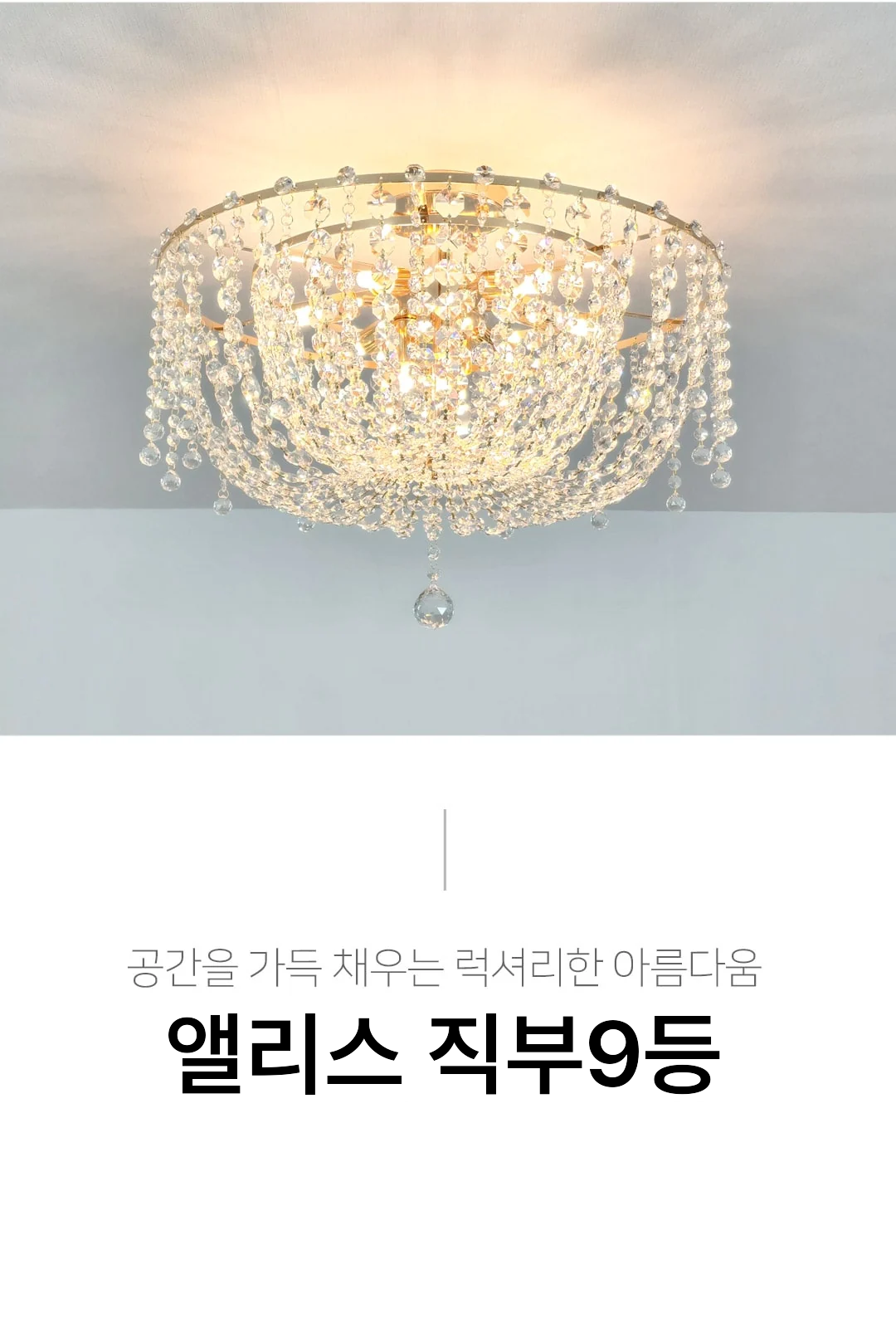 앨리스 직부9등 제조사 상세 정보