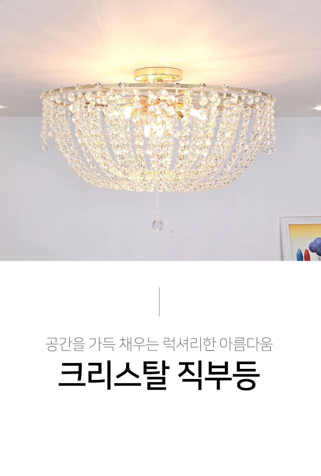 앨리스 직부 12등 제조사 상세 정보
