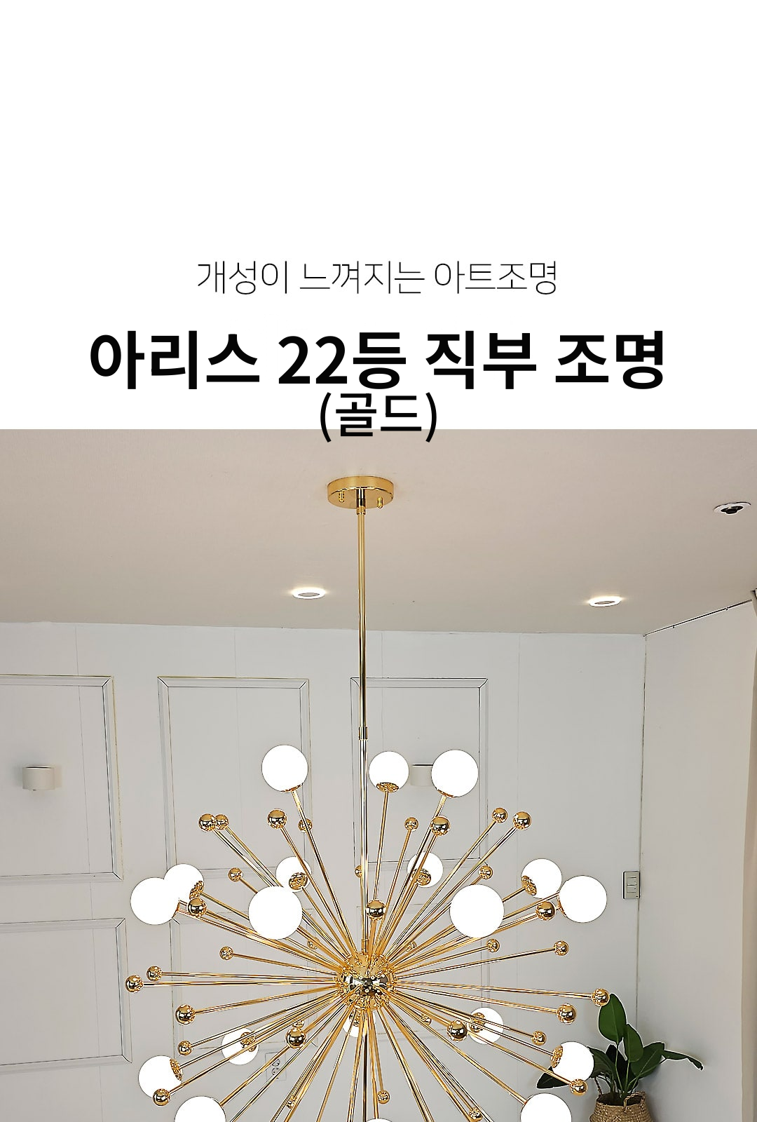 아리스 22등 직부 조명 (골드) 제조사 상세 정보