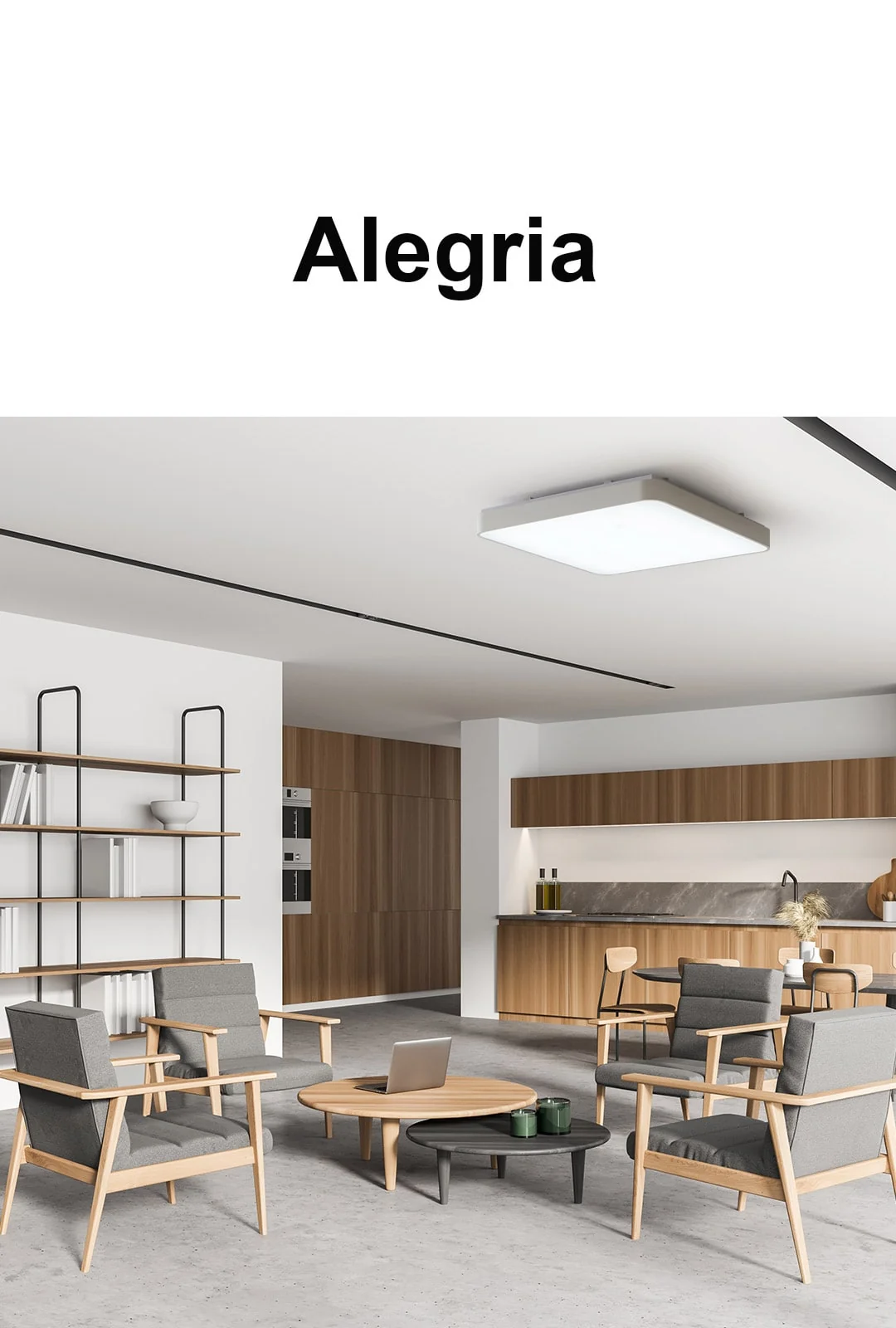 알레그리아 국산 거실 4등 삼성칩 LED120W(리모컨) - 리모컨타입 품절 제조사 상세 정보