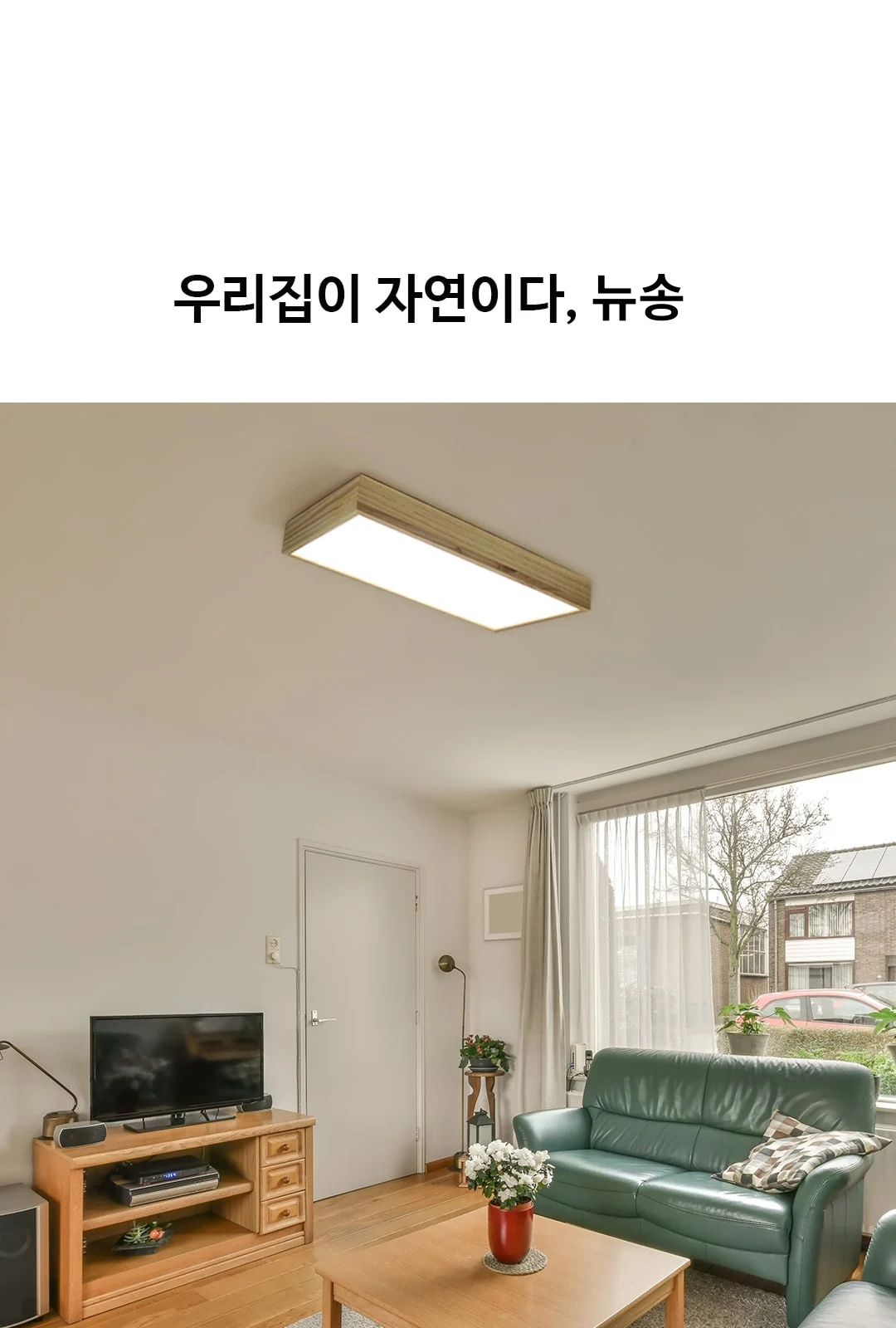 뉴송 거실 2등 제조사 상세 정보