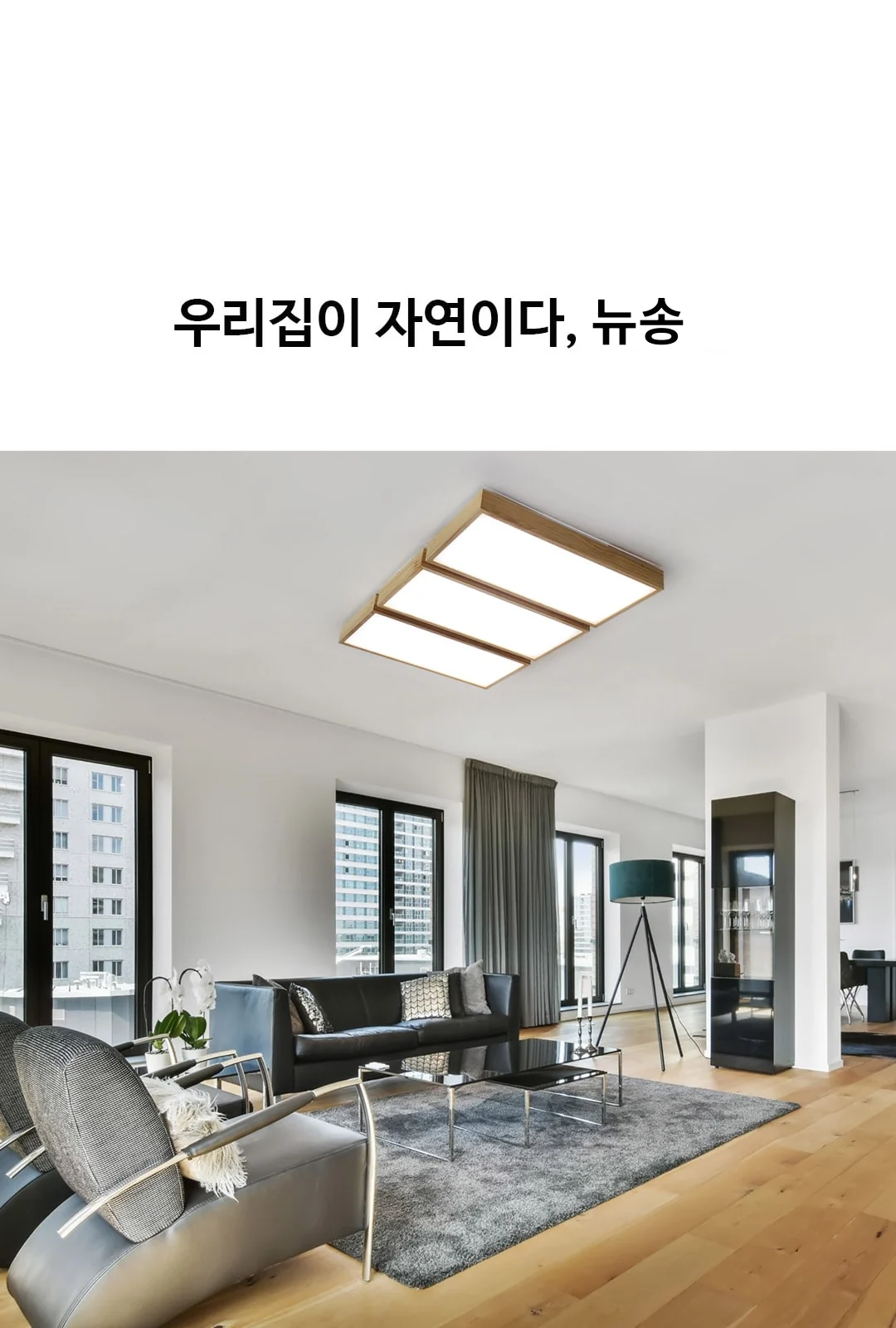 뉴송 거실 4등/6등 제조사 상세 정보