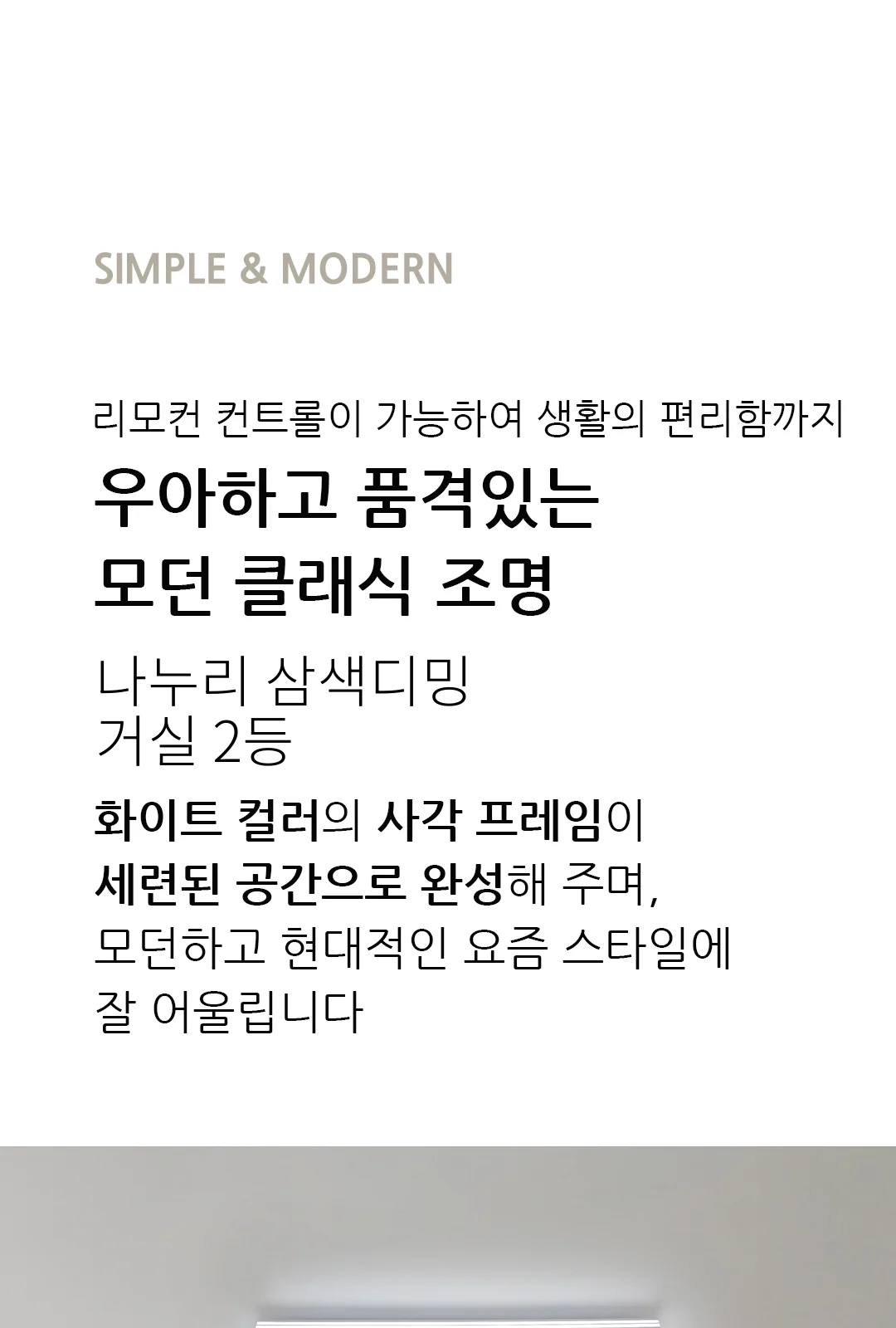 나누리 삼색디밍 거실 2등 제조사 상세 정보