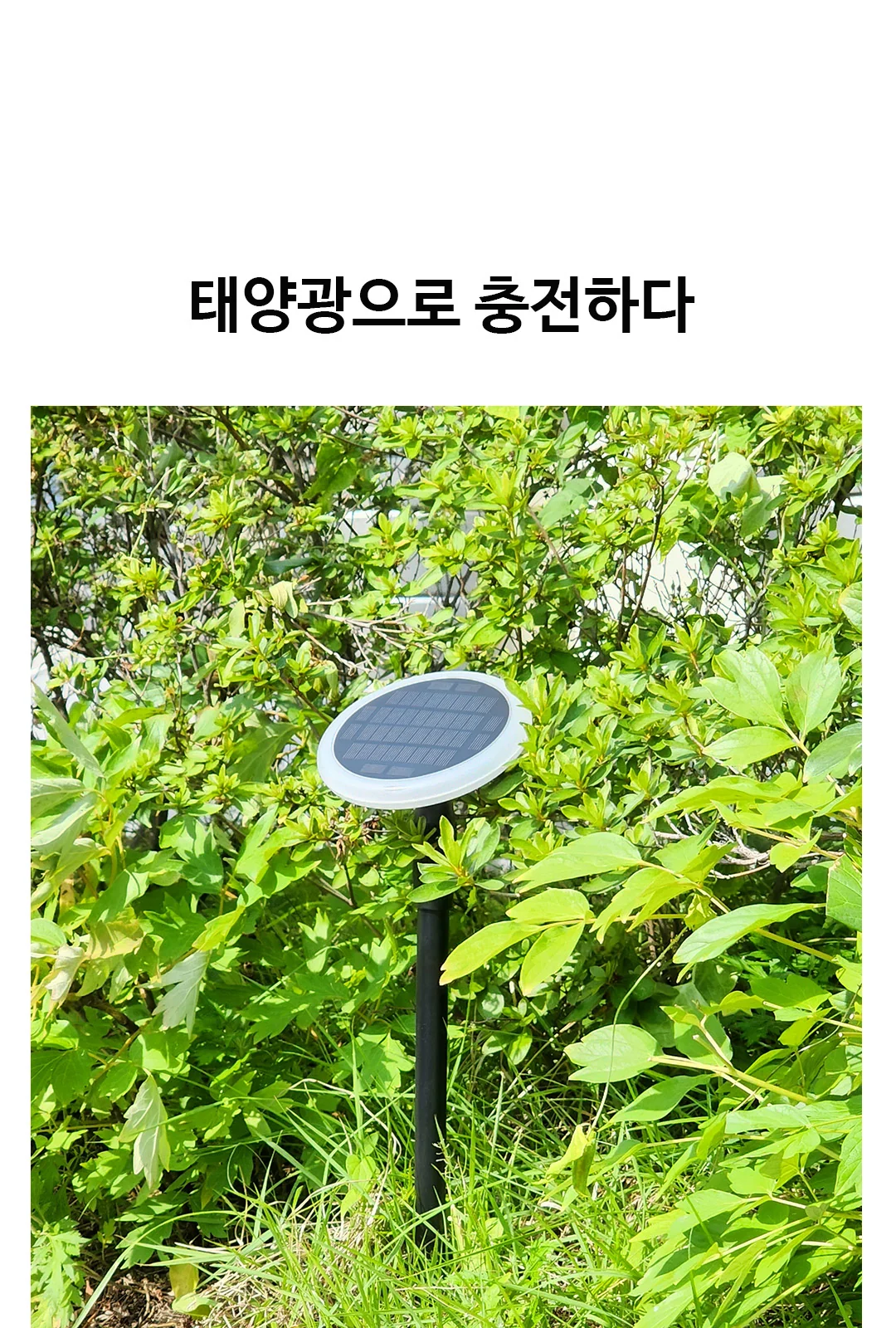 태양광 동그리 정원등 LED 3W 제조사 상세 정보