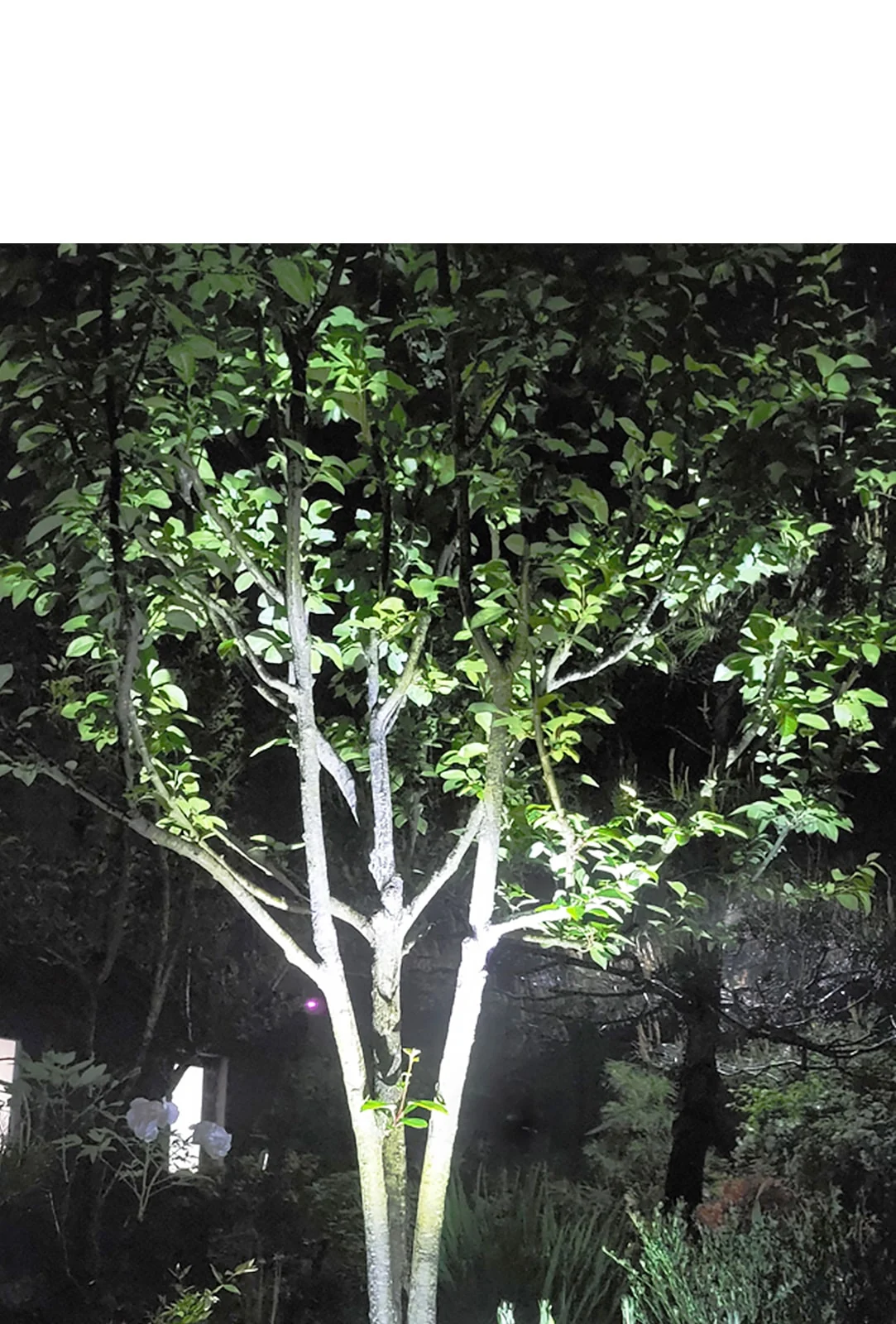 태양광 이중수목등 3구 제조사 상세 정보