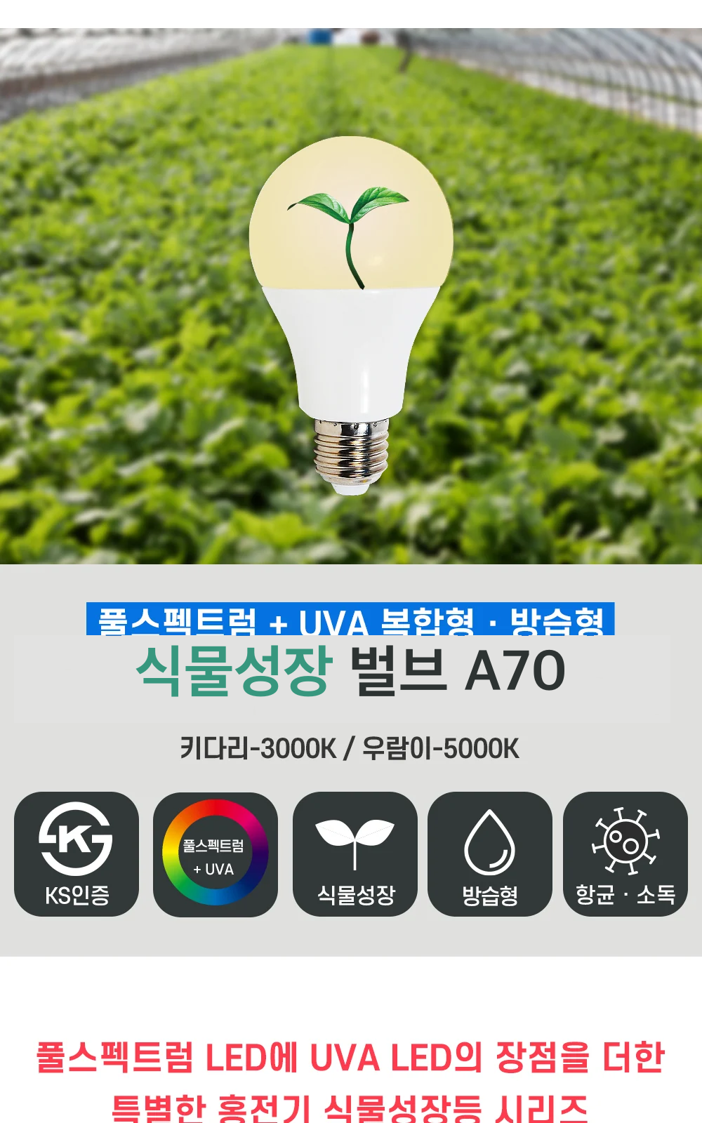 식물성장 벌브 A70 제조사 상세 정보
