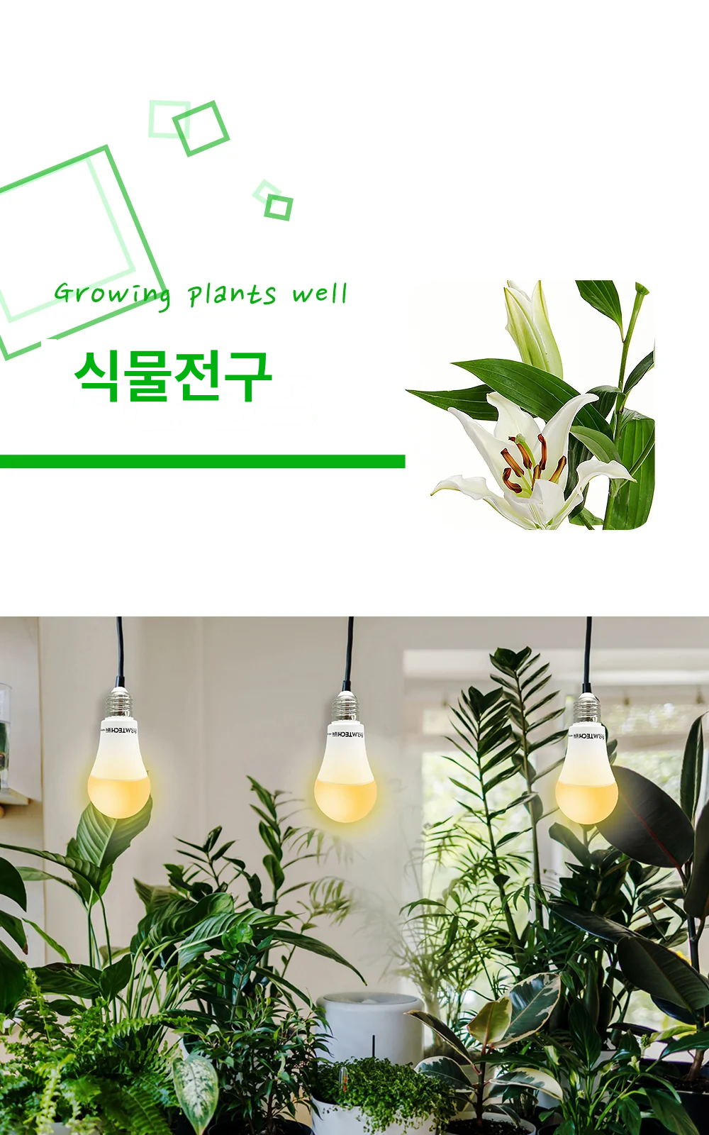식물전구 제조사 상세 정보