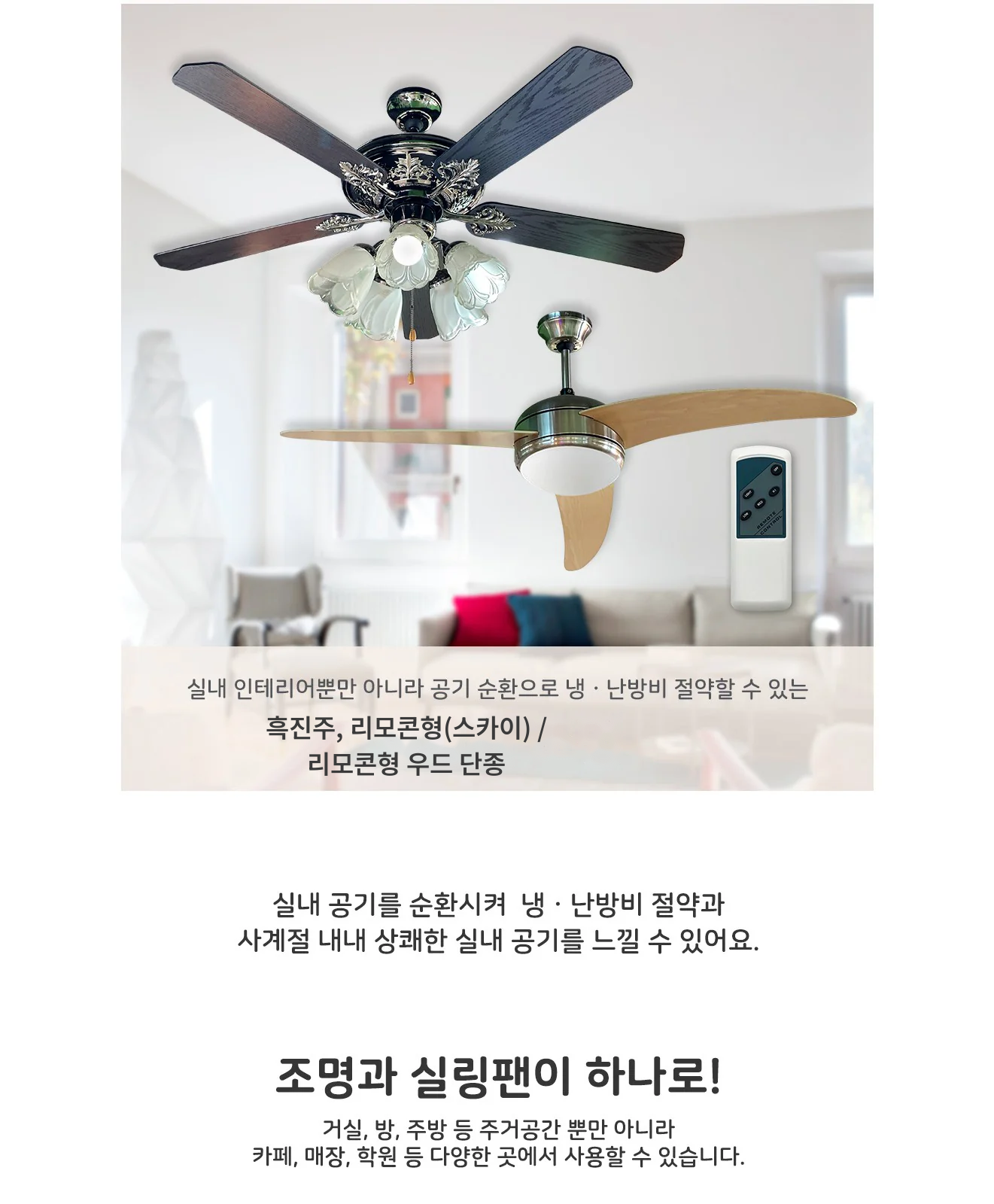 흑진주, 리모콘형(스카이) / 리모콘형 우드 단종 제조사 상세 정보