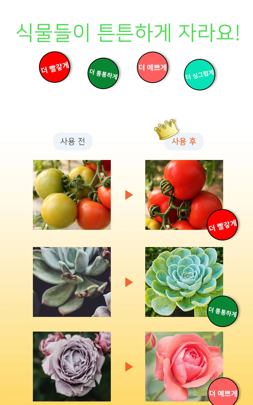 풀스펙트럼 식물조명 엔젤링 (1구, 2구 단종) 제조사 상세 정보