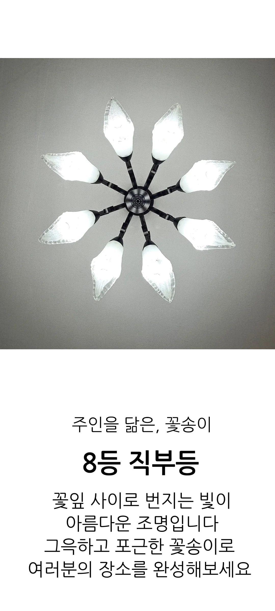 오션 8등 직부등 안방조명 식탁등 제조사 상세 정보