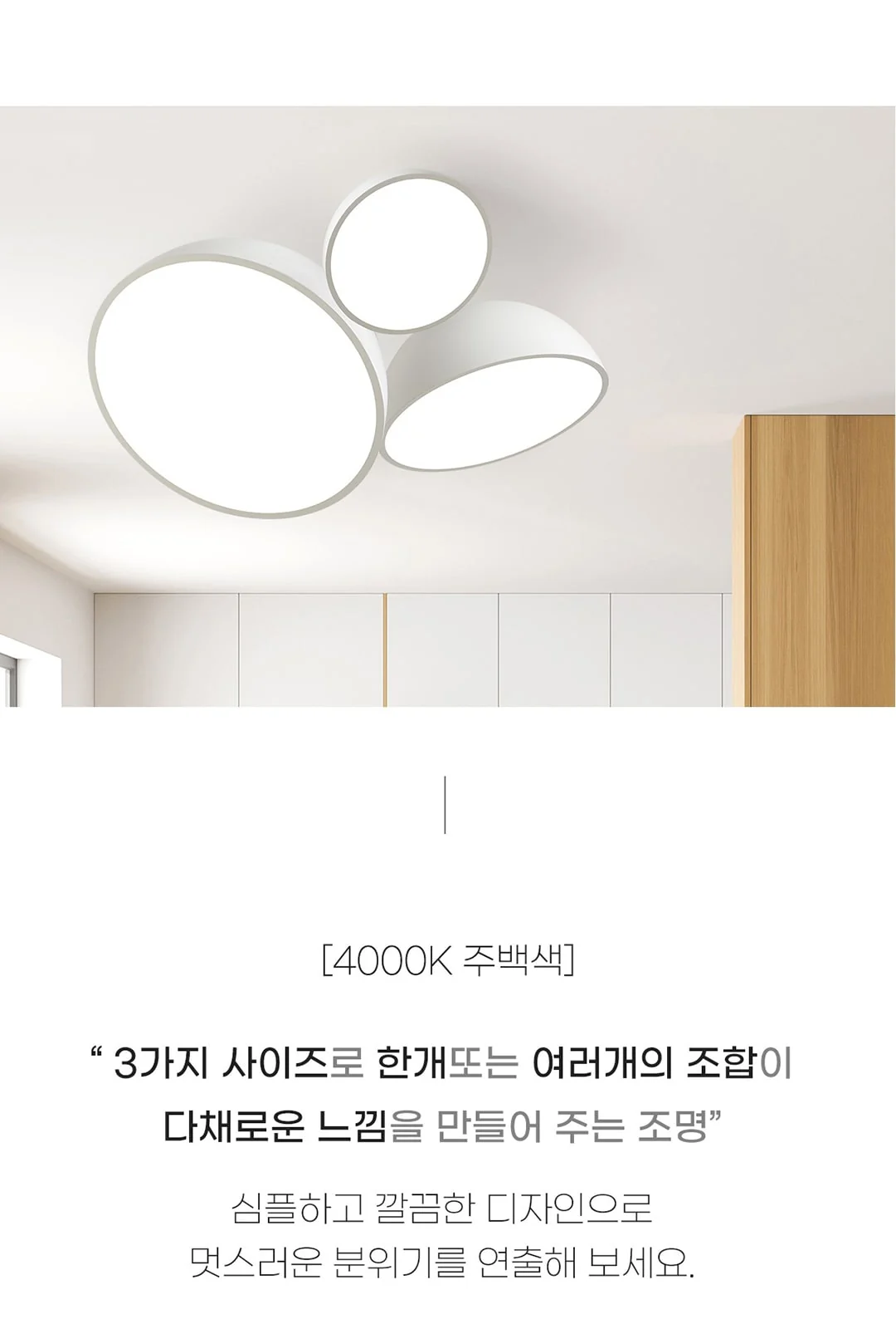디봇 직부 300파이/400파이/500파이 제조사 상세 정보
