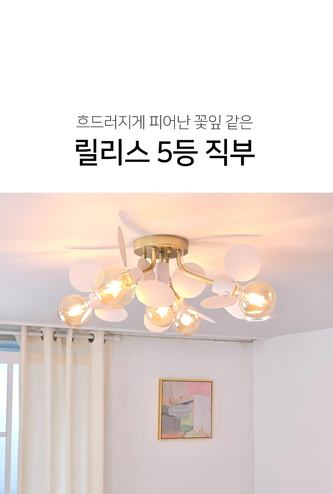 릴리 5등 직부(완제품) 제조사 상세 정보
