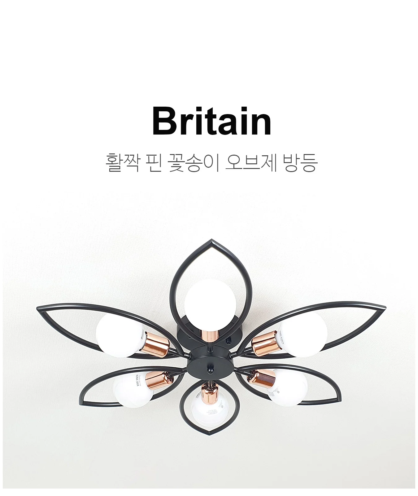 꽃잎 6등 직부 제조사 상세 정보