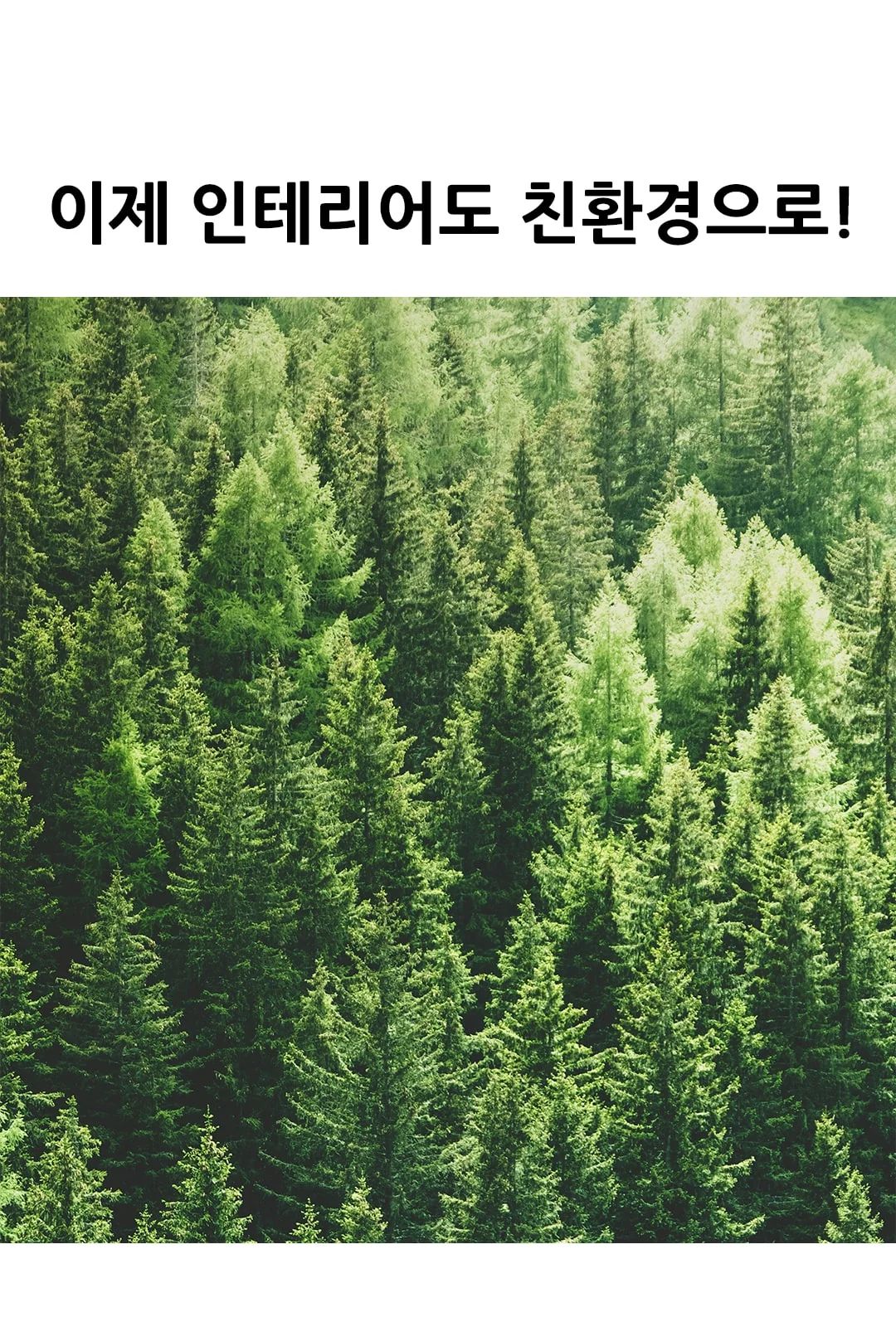 완자 사각등 제조사 상세 정보
