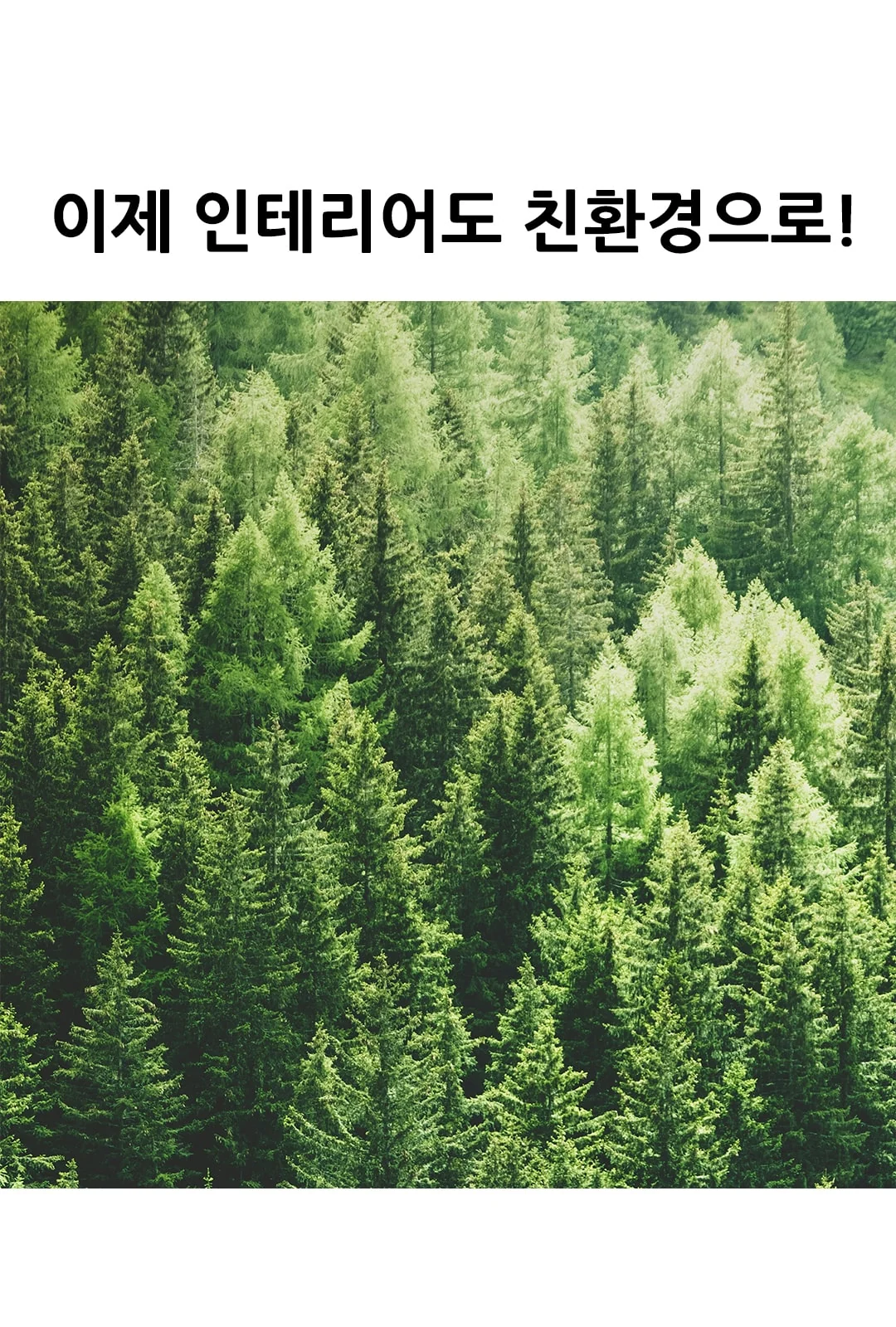 아자 팔각등 - 전구색 품절 제조사 상세 정보