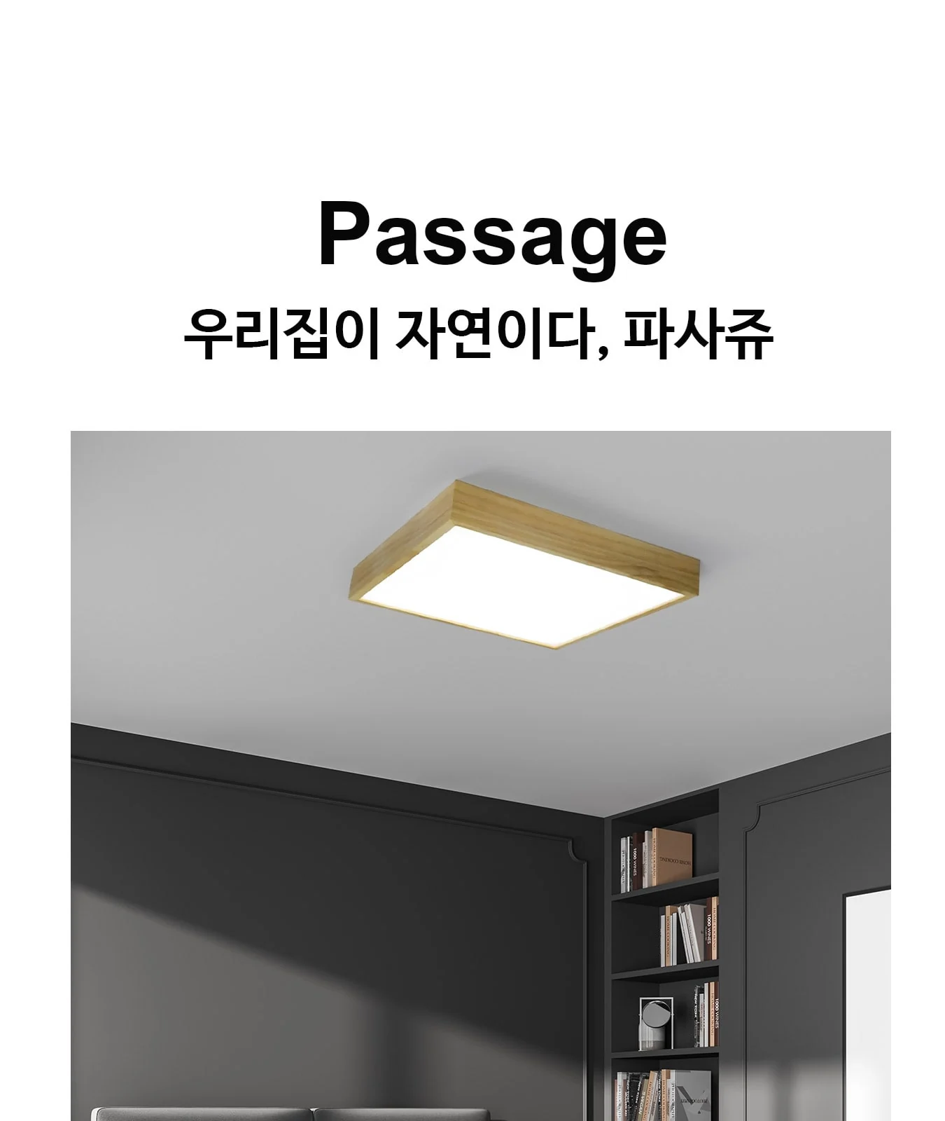 뉴송 방등 제조사 상세 정보