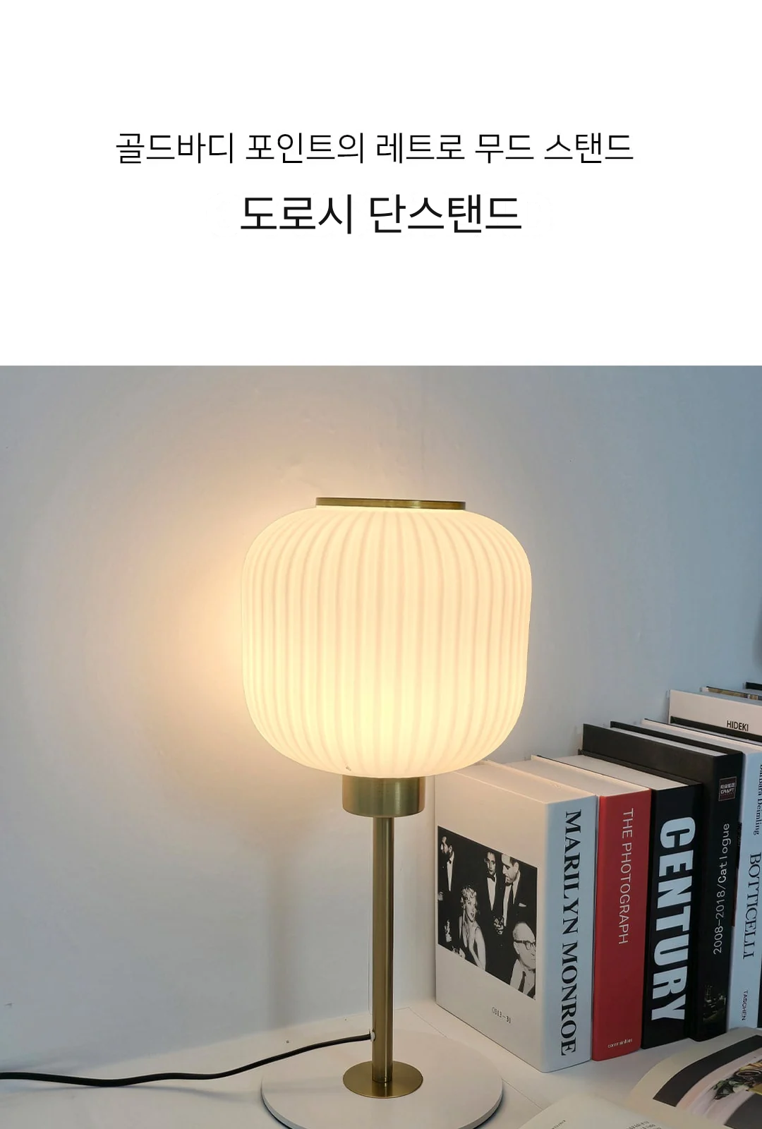 도로시 단스탠드 제조사 상세 정보