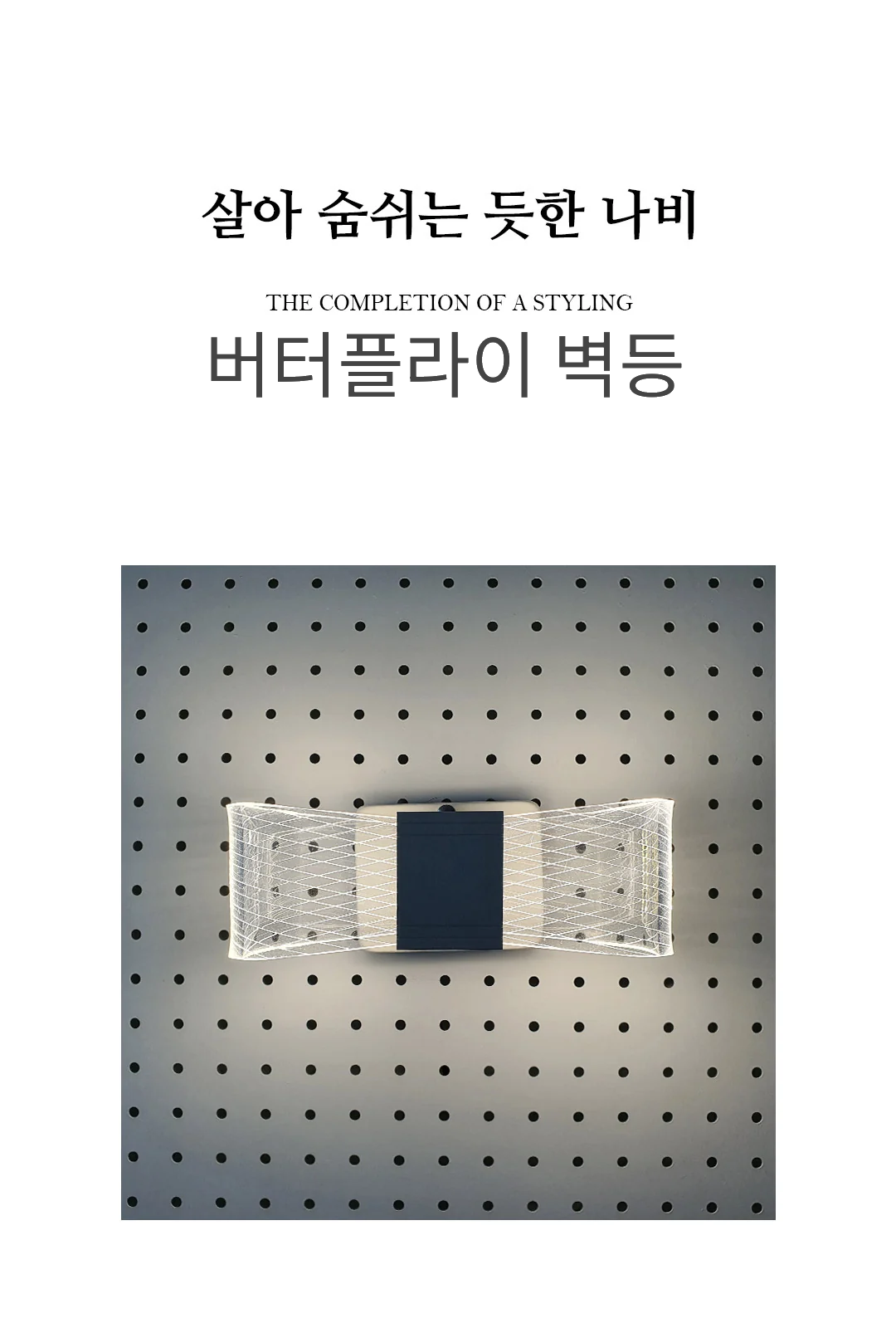 버터플라이 B/R 제조사 상세 정보