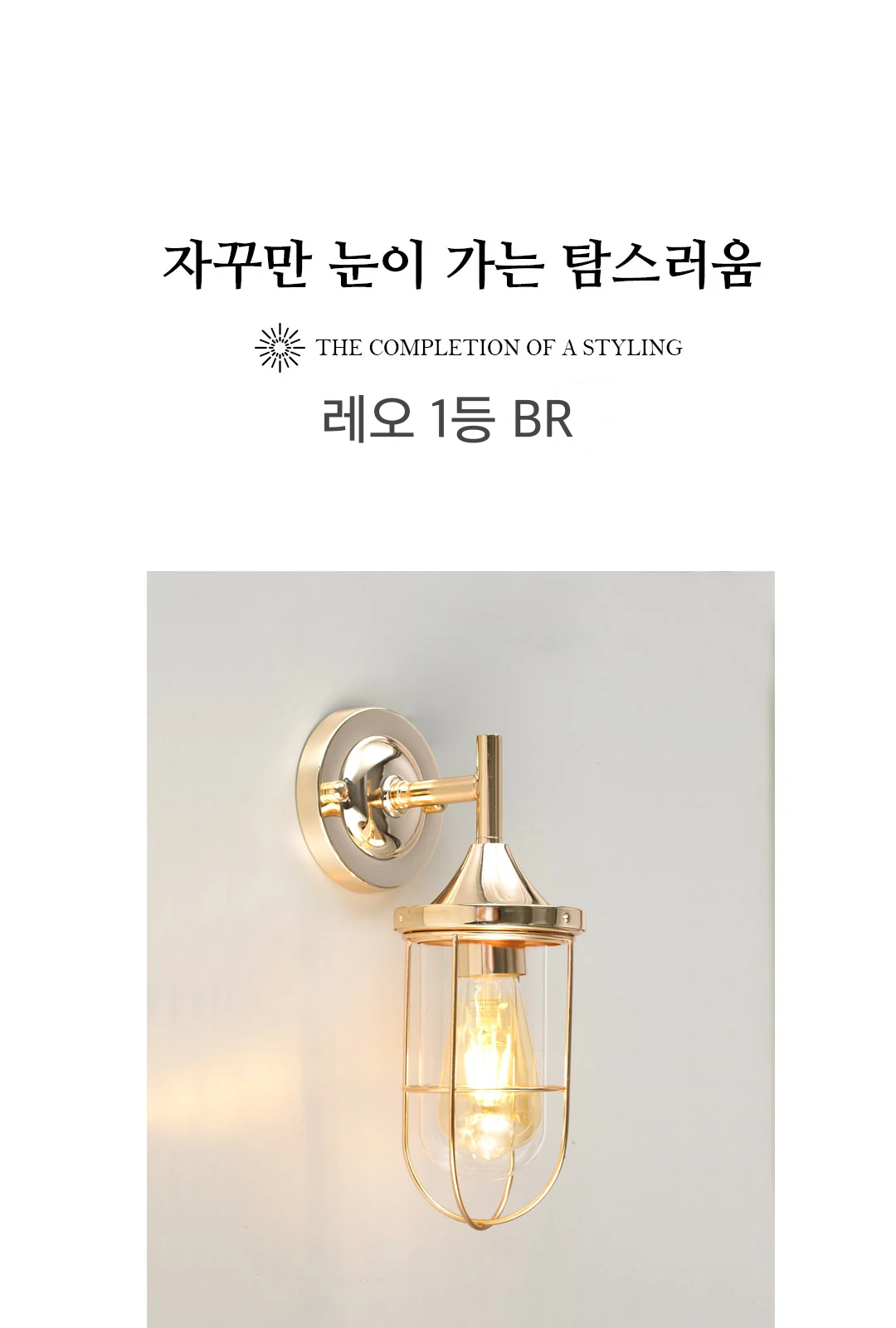 레오 1등 BR 제조사 상세 정보