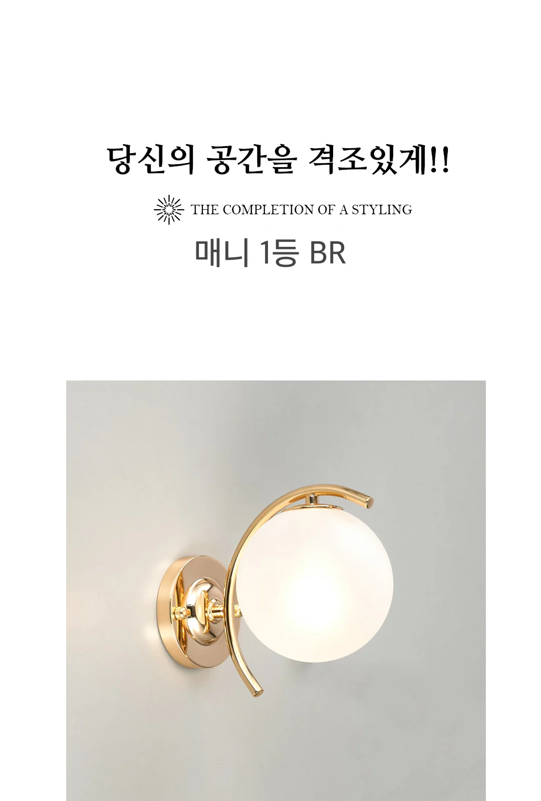 매니 1등 BR 제조사 상세 정보