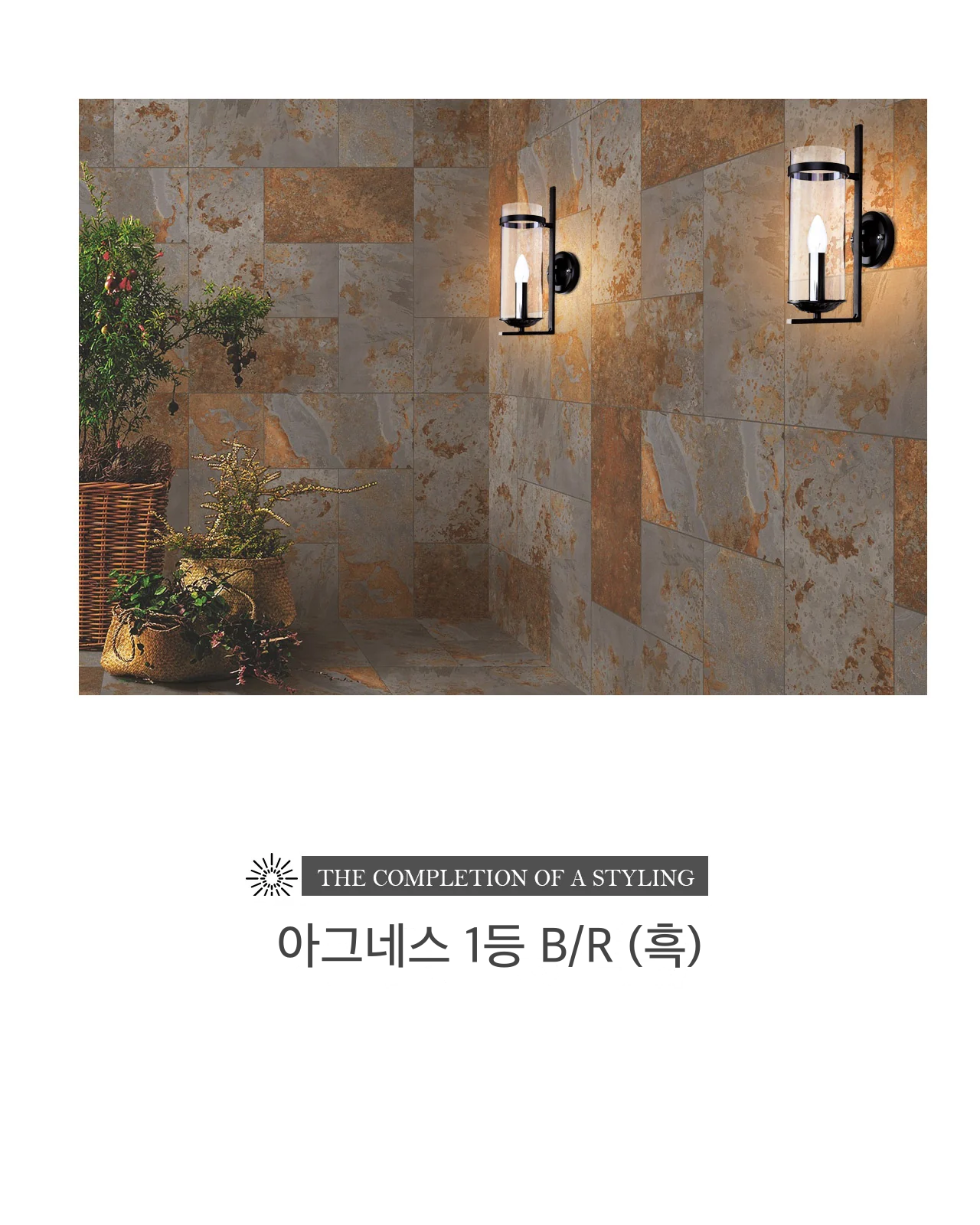 아그네스 1등 B/R (흑) 제조사 상세 정보