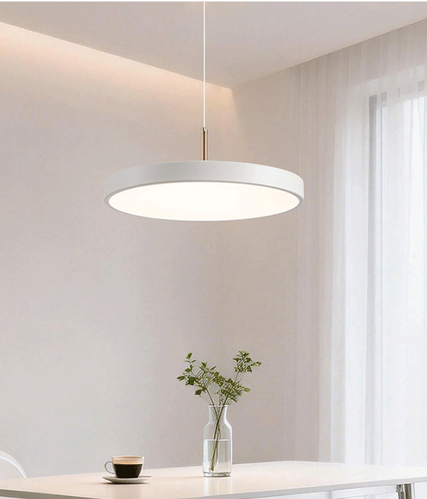 LED 디벨로 색변환 펜던트 40W - 화이트 품절
