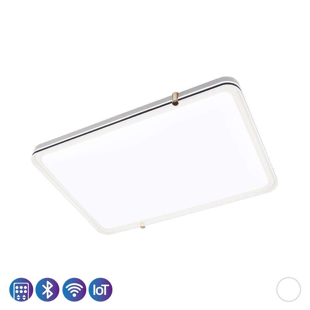 LED 레프 뉴라인 리모컨 직사각 디밍 거실등 150W IoT 플리커로우