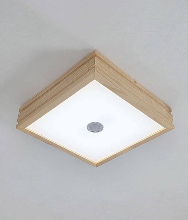 파사쥬 투라인 현관센서등 직부등 LED20W
