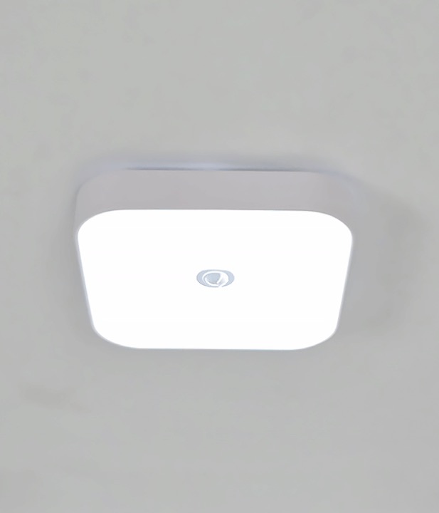 라우스 현관센서등 240 복도조명 아파트현관등 (LED20W)