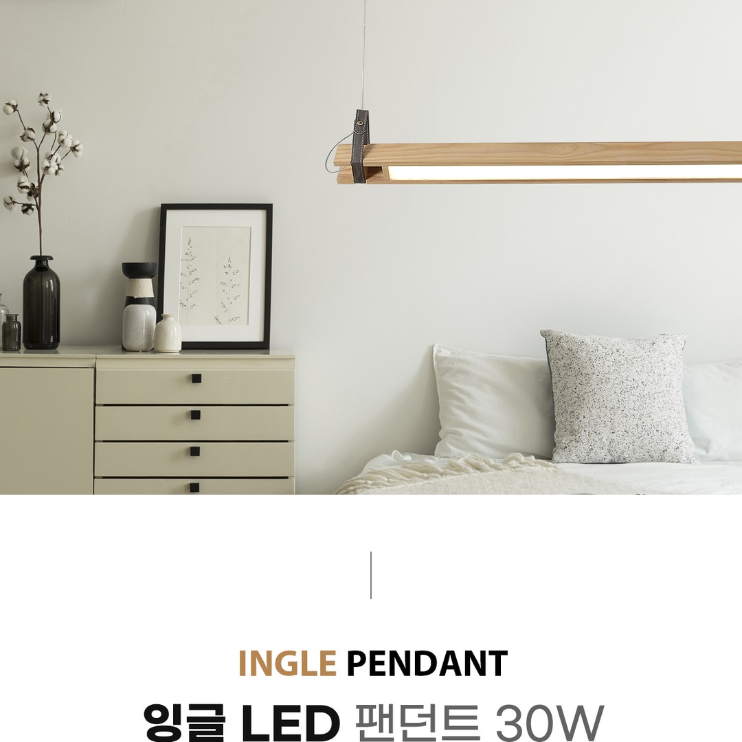 LED 잉글 팬던트 30W [2color]