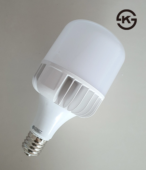 DN보안등 80W(E39) long