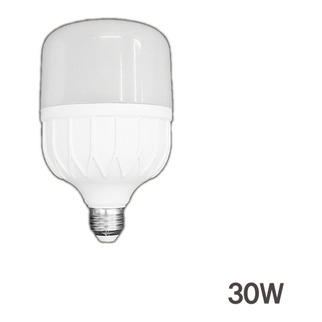 T램프 T100 LED30W(E26)